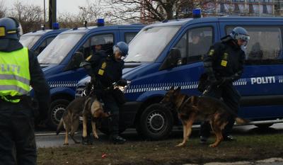 Aan de lijn lopen met je Duitse Herder (zonder trekken)